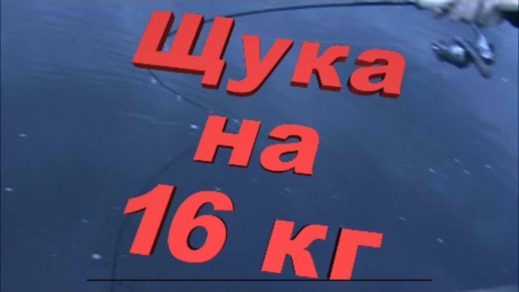 Щука почти на 20 килограмм! ВДВОЕМ затягивали в лодку!