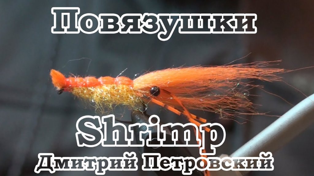 Повязушки. Shrimp