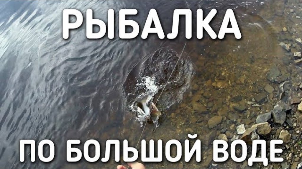 Рыбалка по большой воде