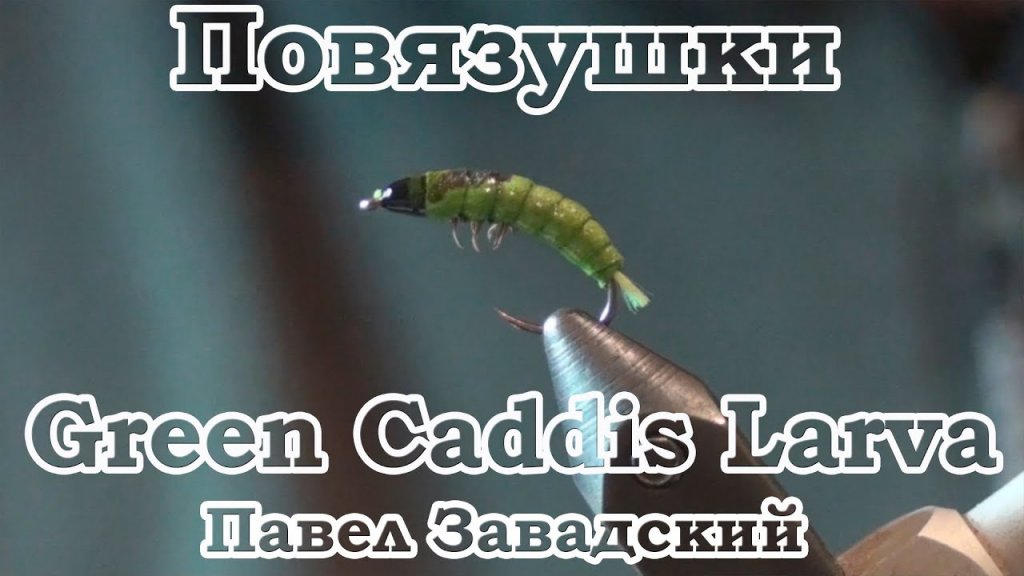 Повязушки. Green Caddis Larva