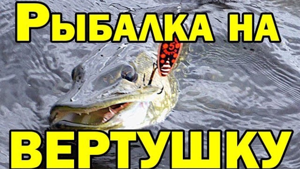 Рыбалка на вертушку. Щука и окунь на вращающуюся блесну + РОЗЫГРЫШ СПИННИНГА / Рыбалка с AikoLand TV