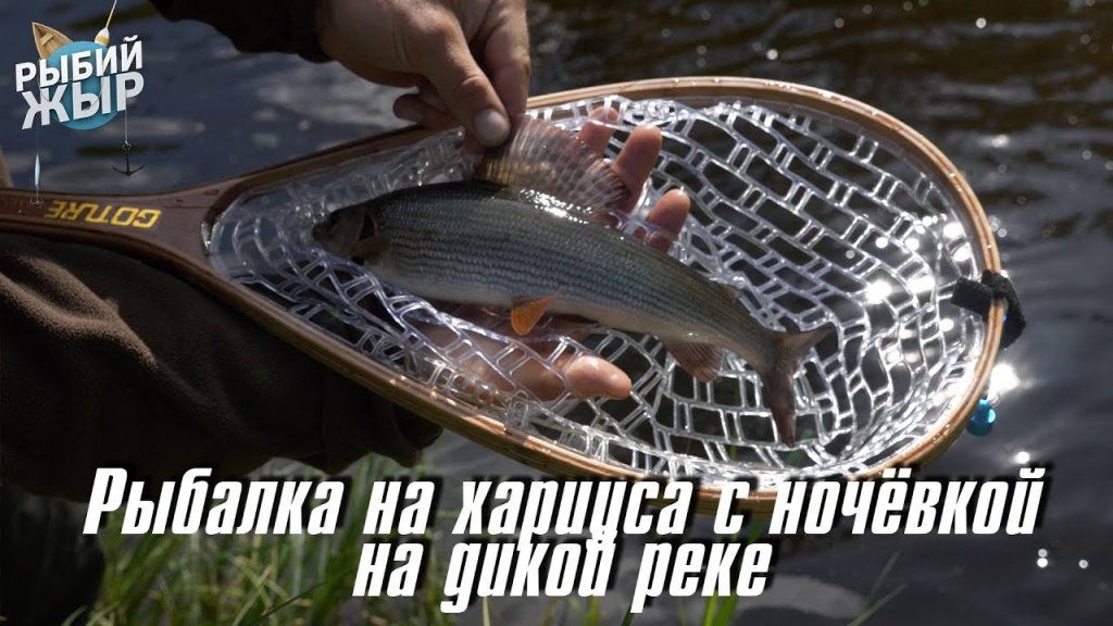 Вертушка лучшая приманка? Рыбалка на хариуса в средней полосе России. Рыбий жЫр 10 выпуск