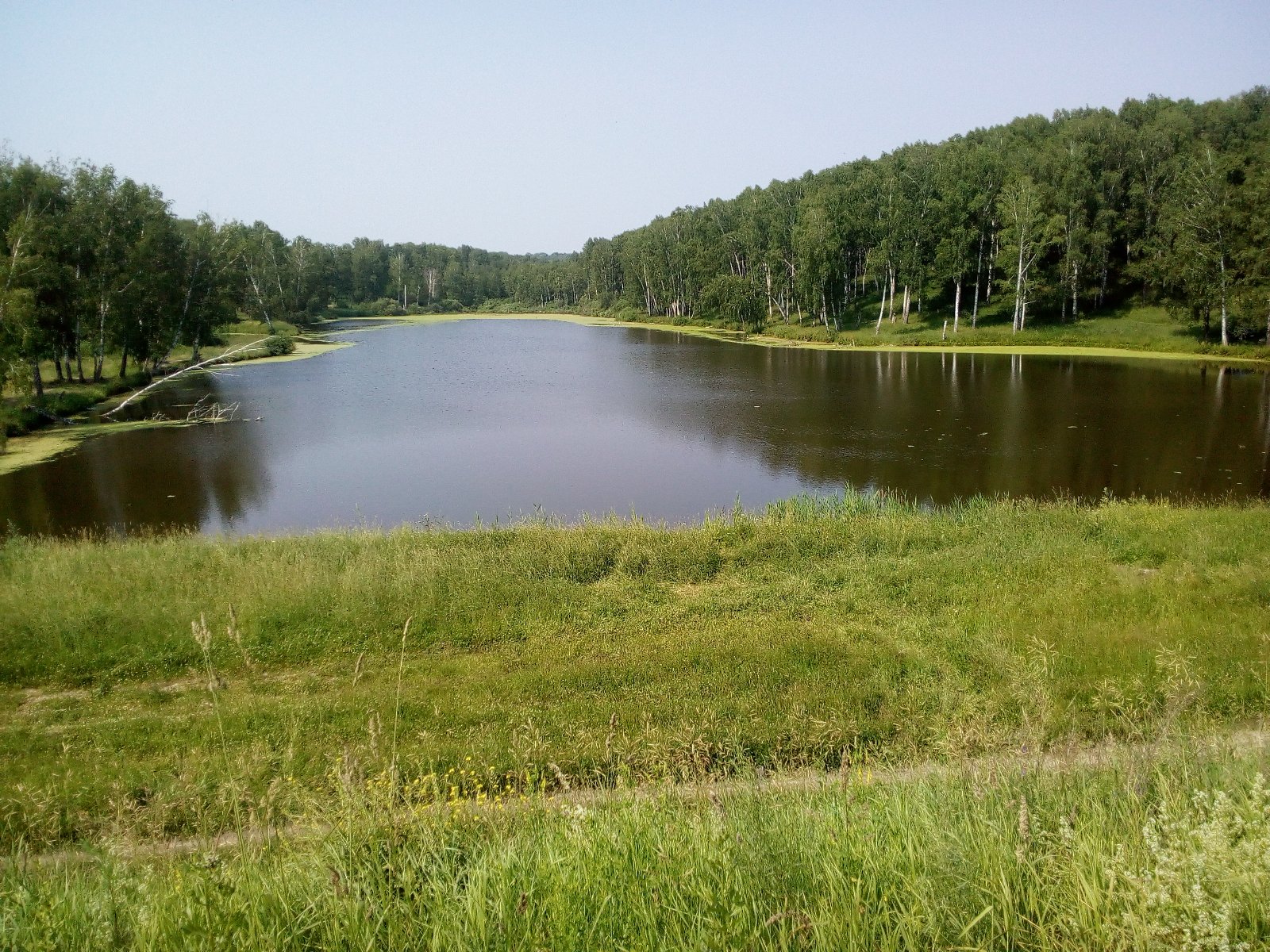 Село Раздольное. Озеро из детства, рыбалка на карасика. | Вести с водоемов