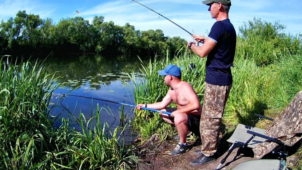 Ловля леща. Рыбалка на реке Дон. (LiveFishing)