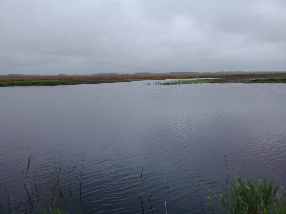 Погода в нижнем чулыме здвинском районе