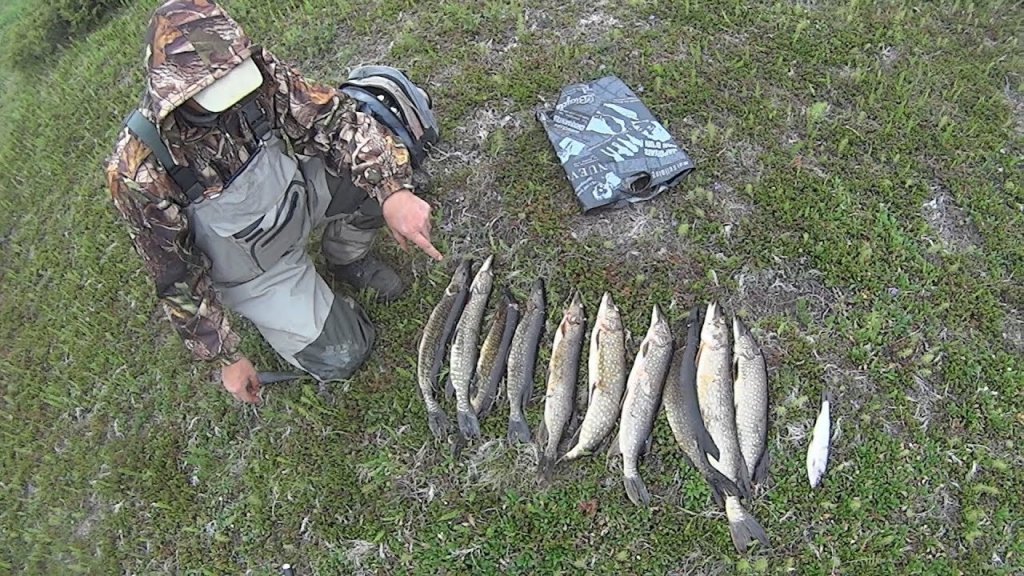 Рыбалка на щуку и хариуса. Со спиннингом по тундровой речке. Fishing.