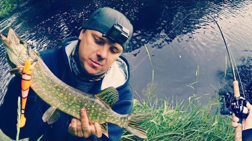 Рыбалка на лесной реке
