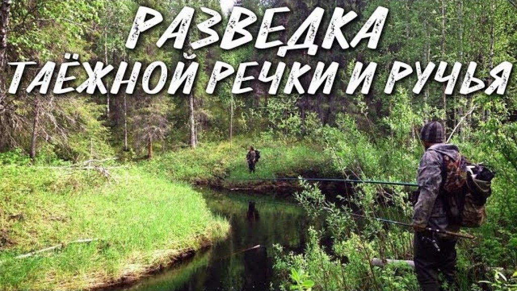 Разведка таежной речки и ручья / рыбалка 2018
