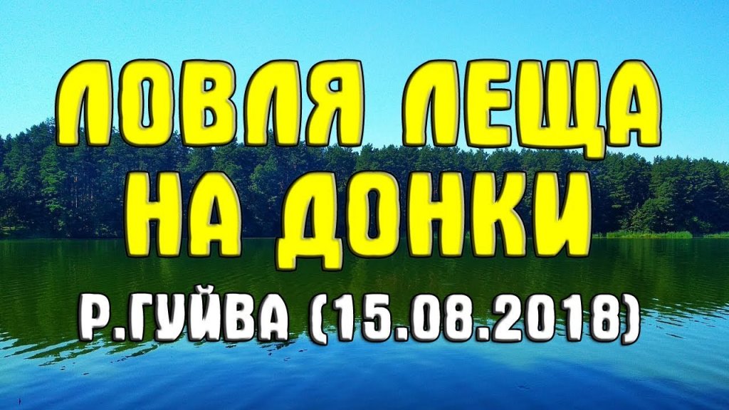 Ловля леща на донки р. Гуйва (15.08.2018). Ловля леща на Кавуновых Дачах Ловля леща на донки р. Гуйва (15.08.2018). Ловля леща на Кавуновых Дачах