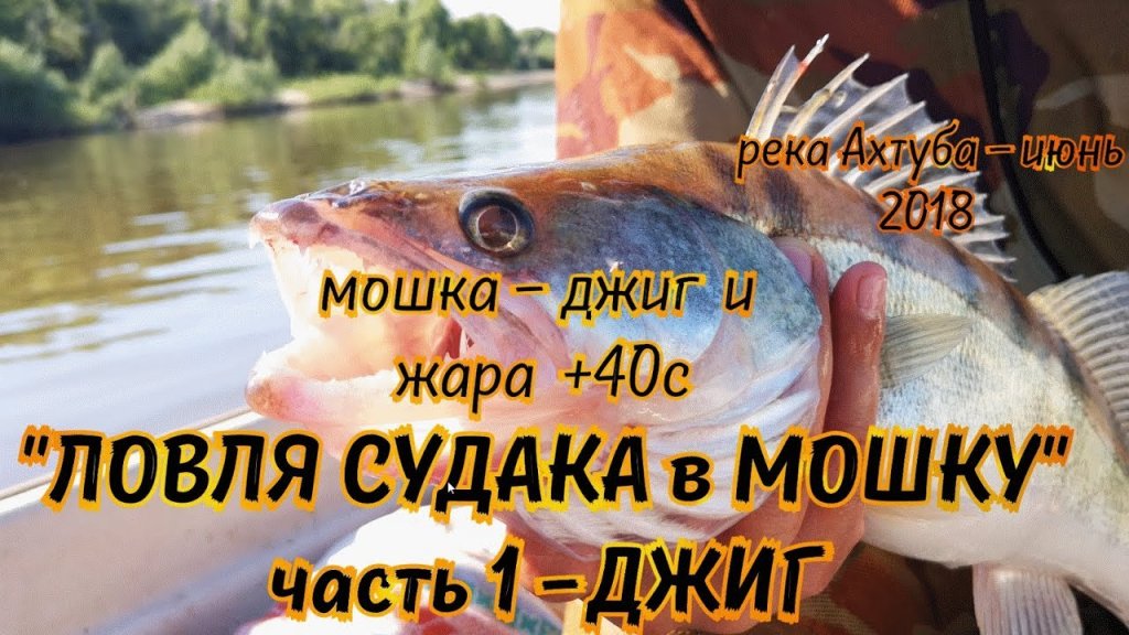 ЛОВЛЯ СУДАКА в МОШКУ - 20 июня, рыбалка 2018, ловля судака на джиг. фильмы ДИВЕРА