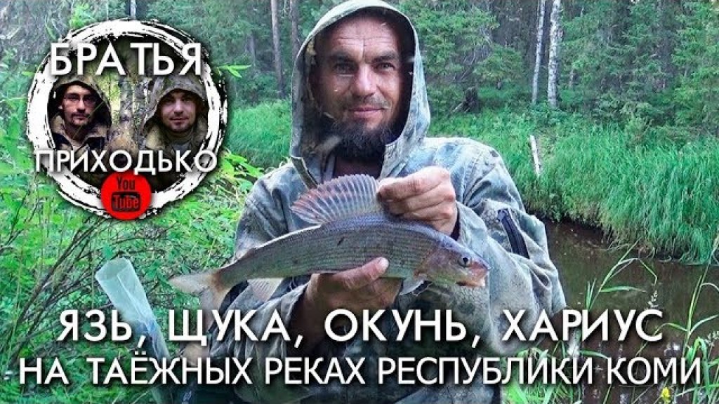 Язь щука окунь хариус на таежных реках республики коми / братья приходько