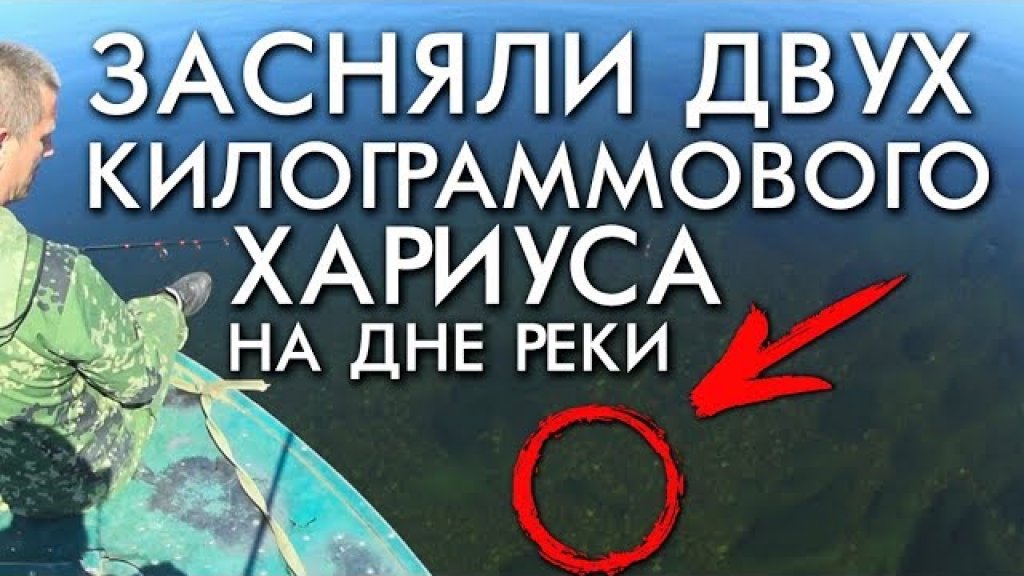 Засняли 2 кг хариуса на дне реки / хорошая рыбалка / 4 вида хищника