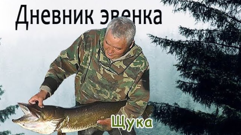 Щука.