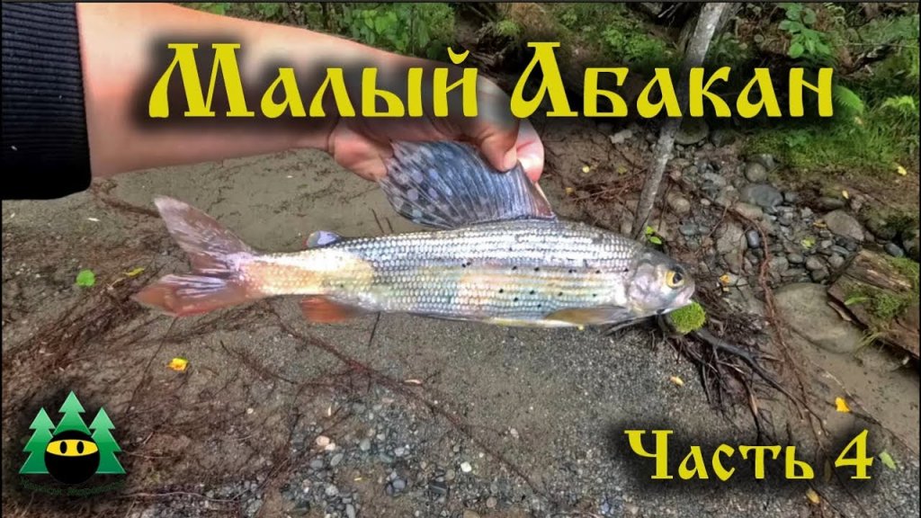 Малый Абакан, рыбалка (часть 4) | Small Abakan, fishing (part 4)