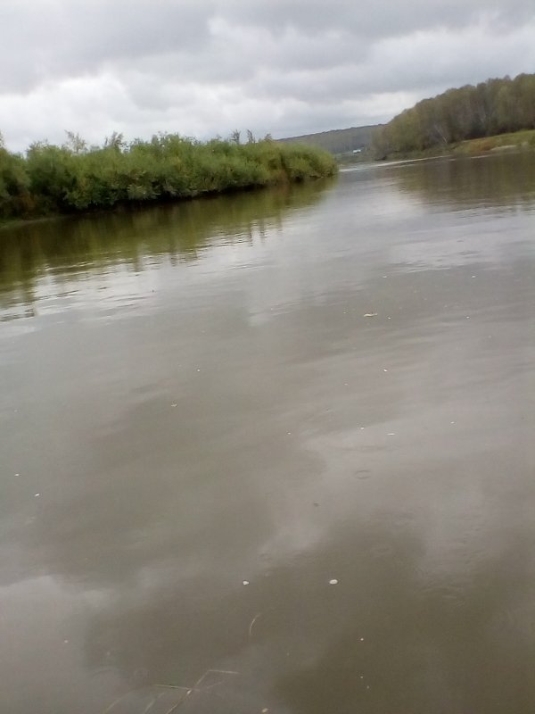 Река Иня.