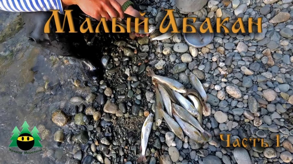 Малый Абакан, рыбалка (часть 1) | Small Abakan, fishing (part 1)