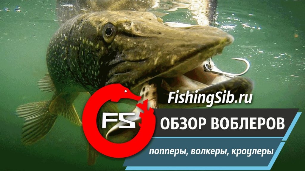 Обзор оригинальных поверхностных воблеров | FishingSib видео