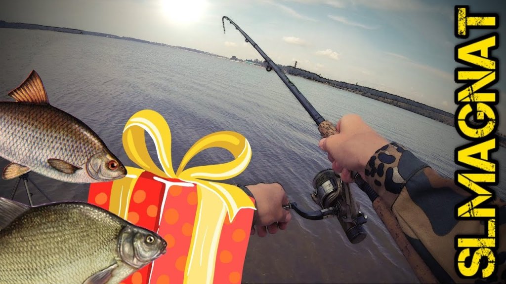 Рыбалка на ФИДЕР 2018+розыгрыш!Плотва на Бердском заливе!