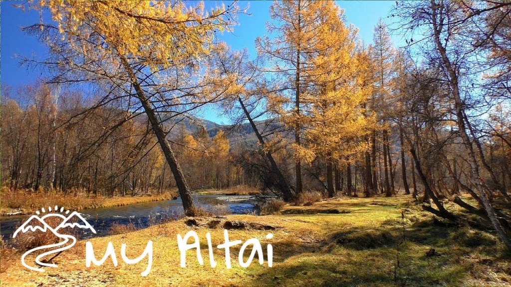 Золотая осень в горах Алтая