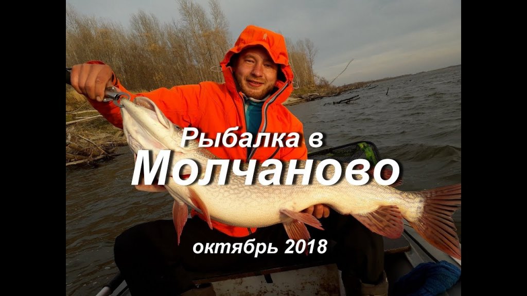 Рыбалка в Молчаново. Октябрь 2018