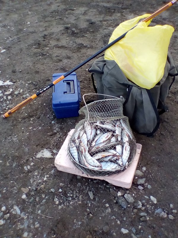 Рыбный день в Мотково.