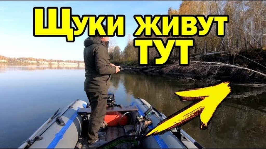 Где искать щуку осенью? Места стоянок щуки. Рыбалка на спиннинг Где искать щуку осенью? Места стоянок щуки. Рыбалка на спиннинг