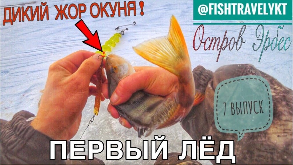 Fishtravelykt - выпуск№7(дикий жор окуня) - первый лёд.остров эрбес. Часть 1. Якутия - yakutia.