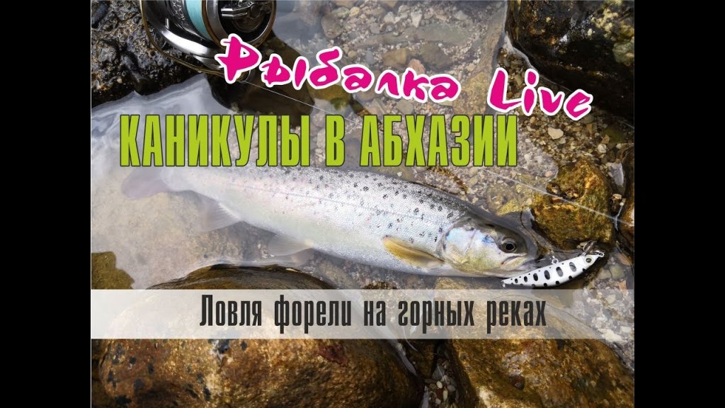 Рыбалка Live. Каникулы в Абхазии. Ловля форели на горных реках