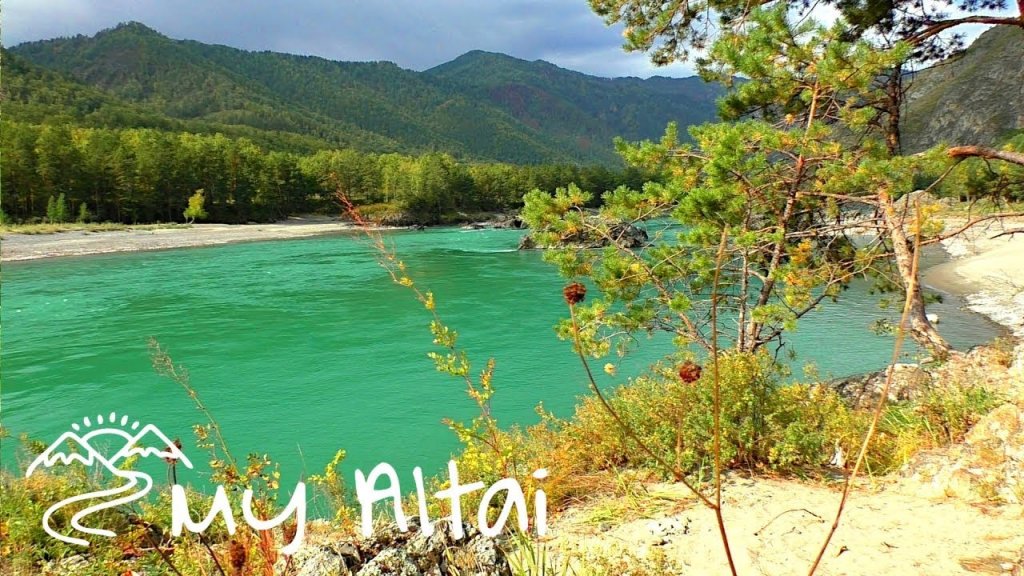 Горный Алтай, река Катунь возле с.Чемал