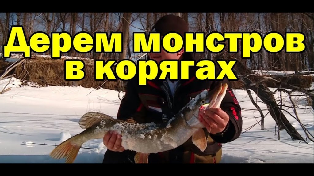 ЖЕСТЬ.ЩУКА ЧУТЬ НЕ ОТКУСИЛА РУКУ. Рыбалка на раттлин в корягах. Трофейные окуни и щуки со льда. ЖЕСТЬ.ЩУКА ЧУТЬ НЕ ОТКУСИЛА РУКУ. Рыбалка на раттлин в корягах. Трофейные окуни и щуки со льда.