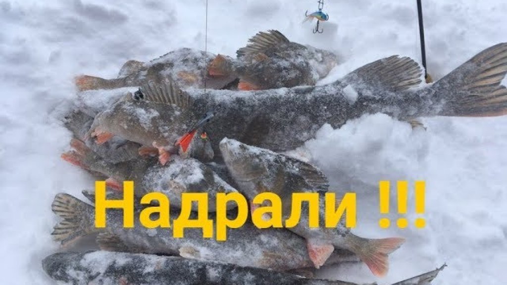 Рыбалка 2018.Неожиданный балансир.Зимняя рыбалка 2018.