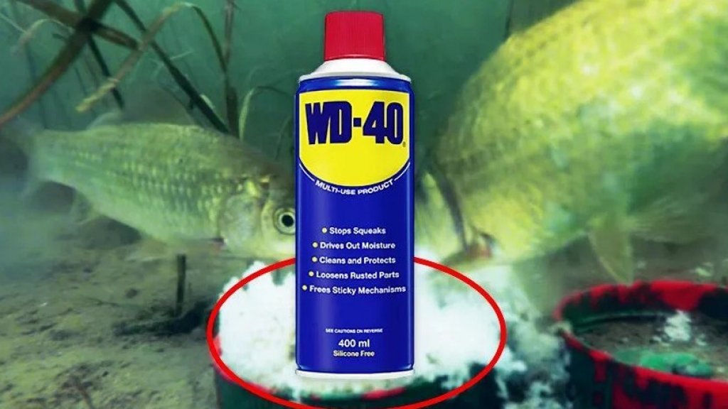 Странная реакция рыбы на WD-40. Автор ответил на все вопросы