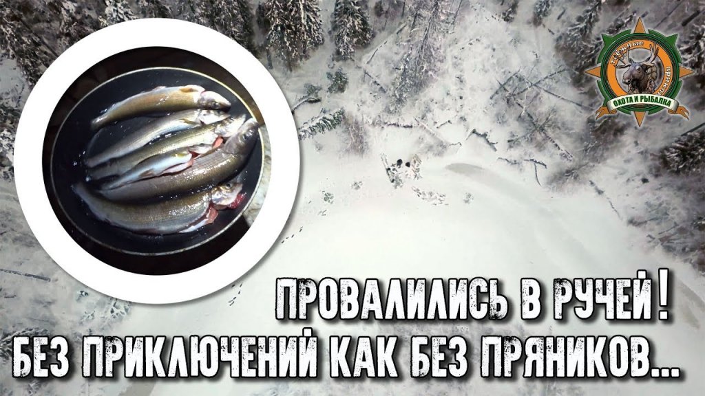 Первый лед 2018-2019/Провалились в ручей!/Приключения Сары