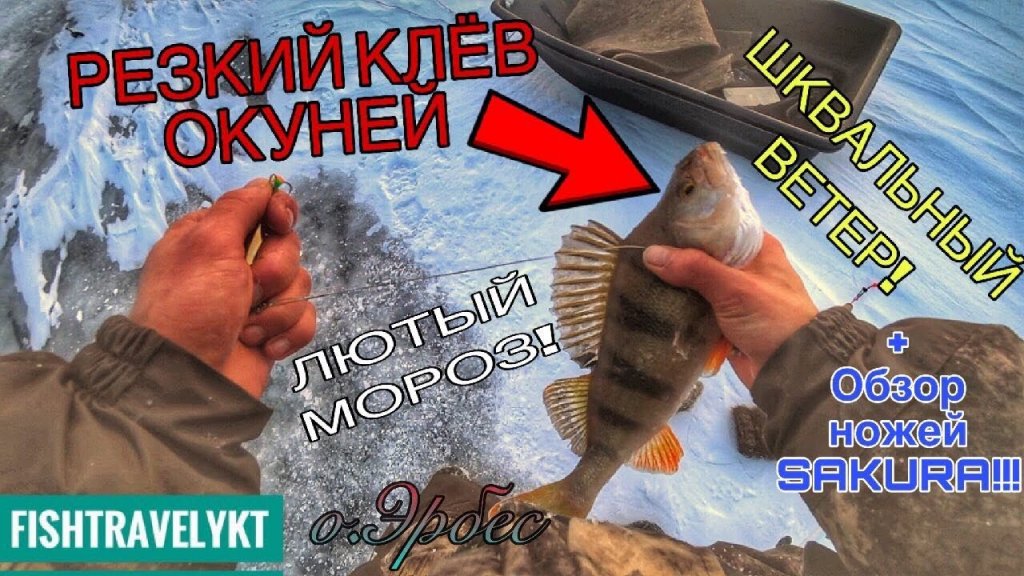 "Резкий окунь в лютый мороз!"  - суровая рыбалка Якутии!!!ловля хищника на блесну!
