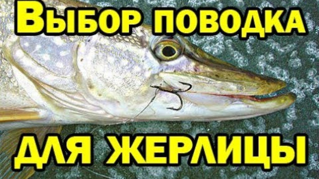 Какие поводки ставить на жерлицу????