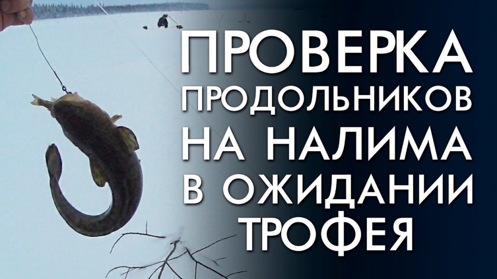 В ожидании трофея / проверка продольников на налима / не вошедшее видео В ожидании трофея / проверка продольников на налима / не вошедшее видео