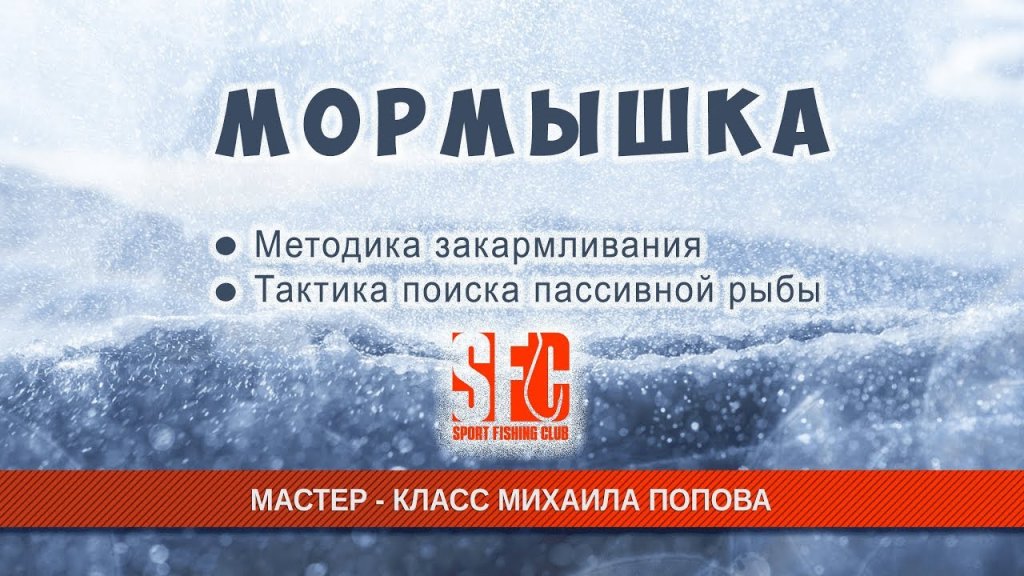 Как ловить на мормышку. Методика поиска и кормления рыбы. Как ловить на мормышку. Методика поиска и кормления рыбы.