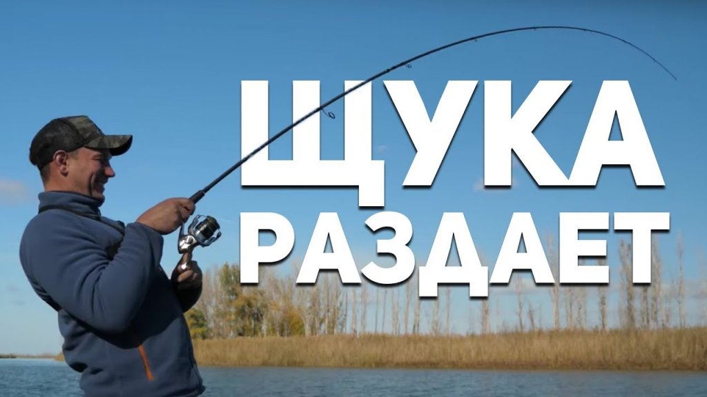 Попали на раздачу щуки. Осенняя рыбалка ниже Астрахани.   Рыбий жЫр 5 сезон.