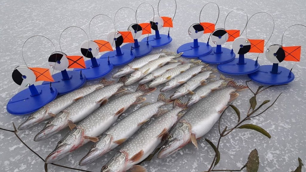 Зимняя рыбалка на WD 40. Миф или реальность? Эксперимент: щука+жерлица