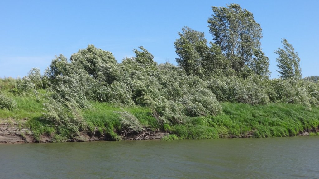 Предвесенняя меланхолия В сибирские морозы.