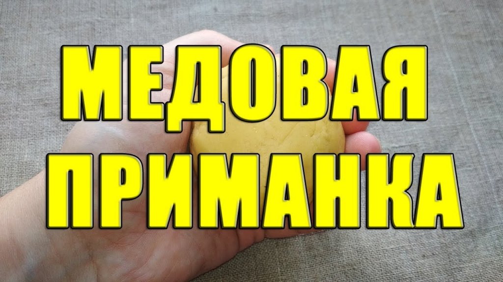 Медовая приманка для рыбалки своими руками. Приманка для мирной рыбы из меда и хлеба Медовая приманка для рыбалки своими руками. Приманка для мирной рыбы из меда и хлеба