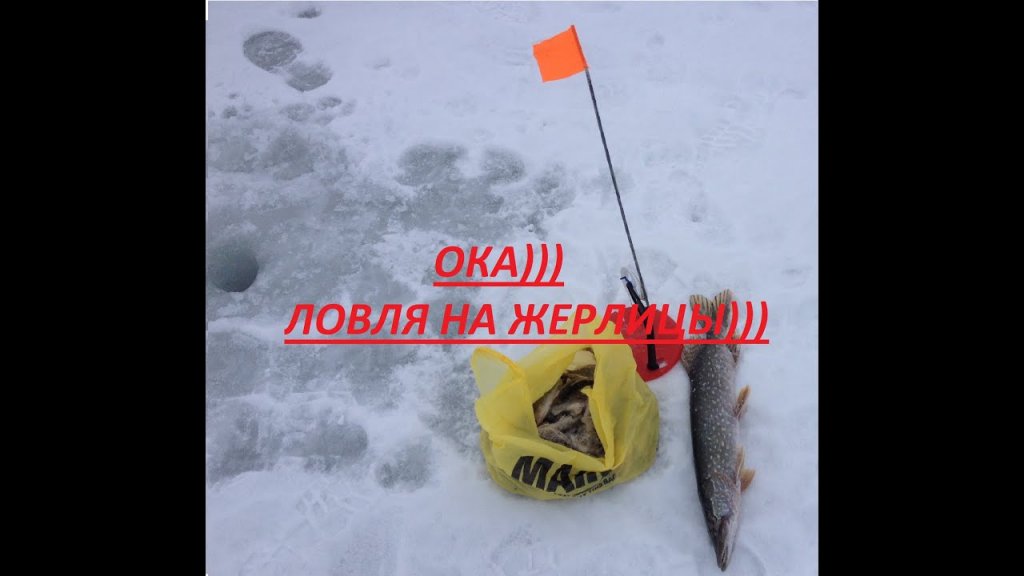 Ока)зимняя рыбалка на жерлицы в феврале)))