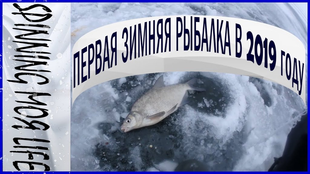 Первая зимняя рыбалка в 2019 году. Трещины, прикормки, ледобур и пару рыб!