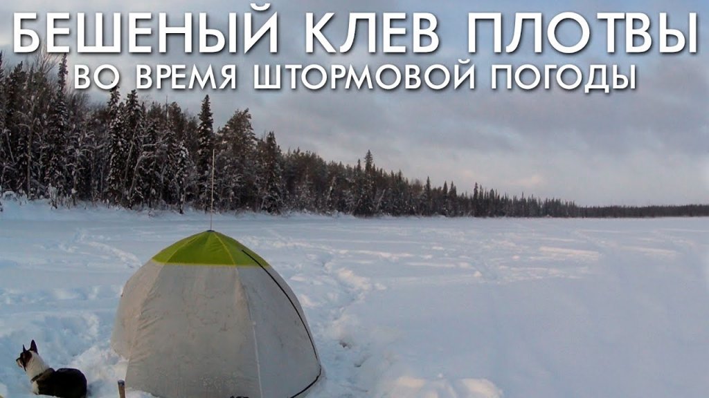 Клев плотвы во время штормовой погоды. Рыбалка зима 2019 Клев плотвы во время штормовой погоды. Рыбалка зима 2019