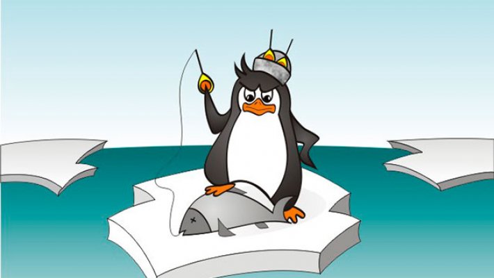 Кубок FishingSib «Юный Пингвин 2019»
