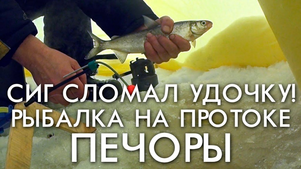 Рыбалка на протоке печоры или как сиг сломал удочку времен ссср Рыбалка на протоке печоры или как сиг сломал удочку времен ссср