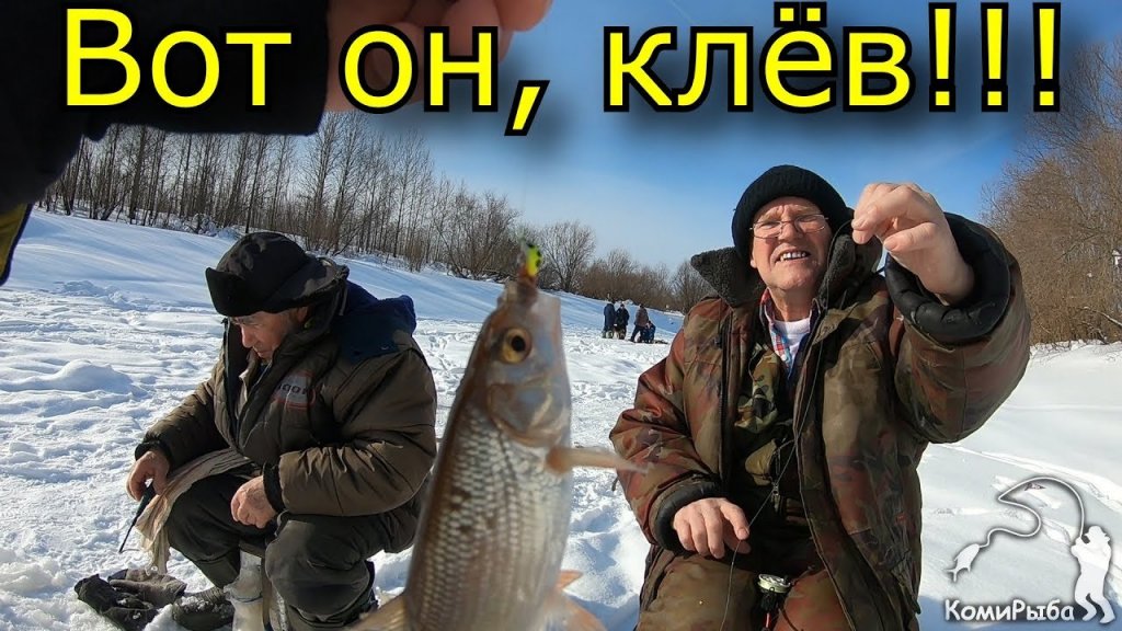 Зимняя рыбалка 2019 год. Активный клев рыбы. Мотособака Пахус (Paxus).