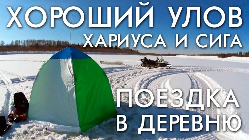 Поездка в деревню за сигом и хариусом. День первый Поездка в деревню за сигом и хариусом. День первый