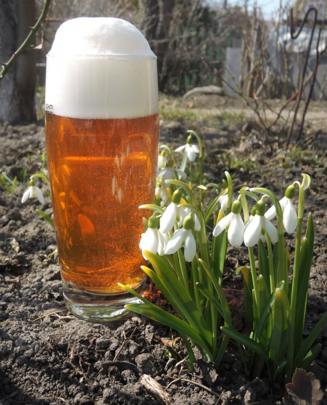 Весна... Пиво варится, подснежники цветут.