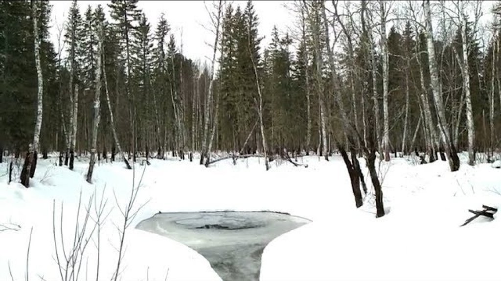 Клёв таежных крокодилов. День 2ой. Идеальная рыбалка на щуку на омуте сибирской микроречки Tomsk Клёв таежных крокодилов. День 2ой. Идеальная рыбалка на щуку на омуте сибирской микроречки Tomsk